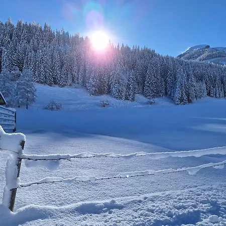Hinterhabneralm * Petersberg