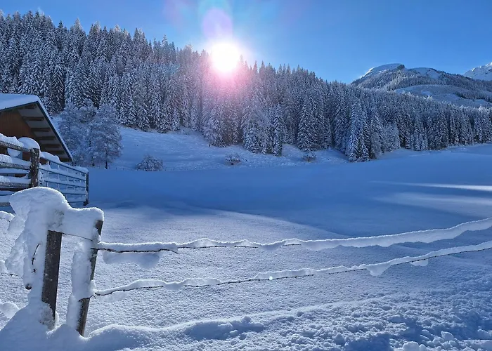 Hinterhabneralm * Petersberg